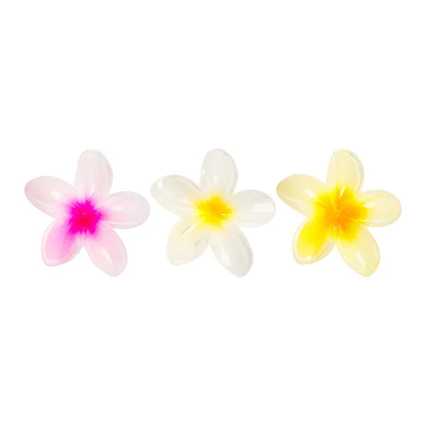 Brushworks Tropical Flower Claw Clips 3 Pack