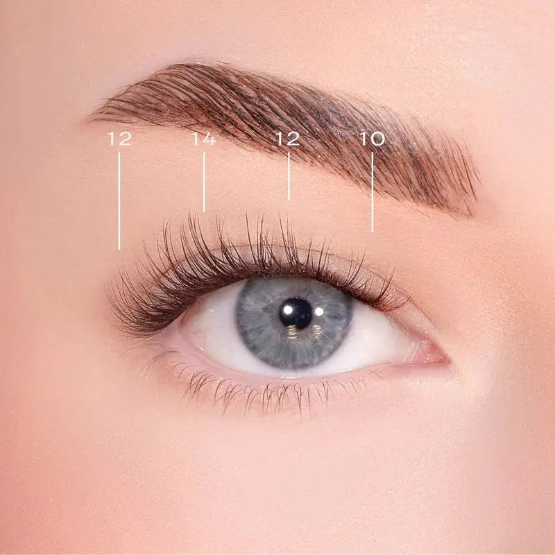 Lola's Lashes Soft Definition Dark Brown Pre-Glued Lashes