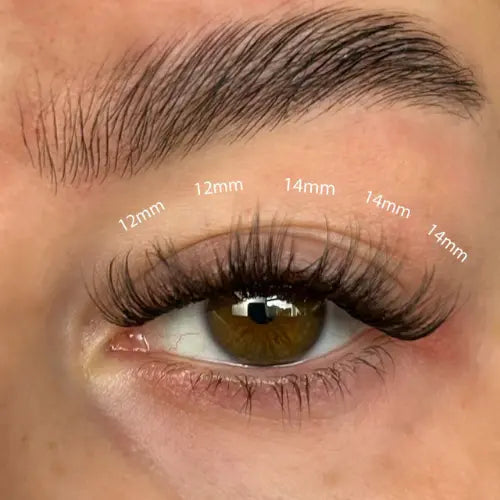 Lola's Lashes Fluffy Russian DIY Lash Extension Set