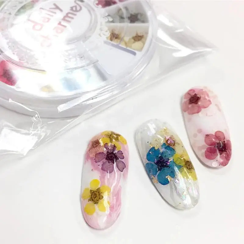 Daily Charme Pressed Dry Natural Petal Flower Set