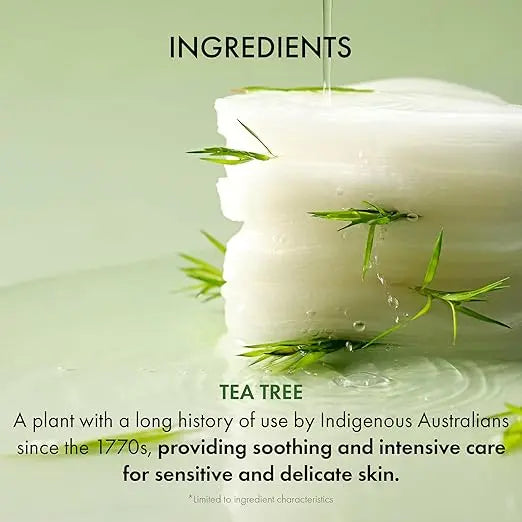 Dr.Ceuracle Tea Tree Purifine Toner Pad